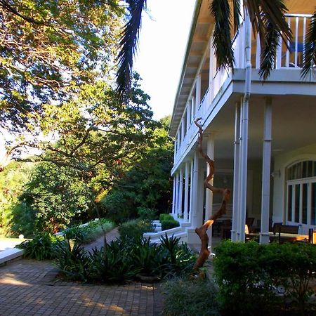 Coral Tree Colony Bed & Breakfast Southbroom Exterior foto