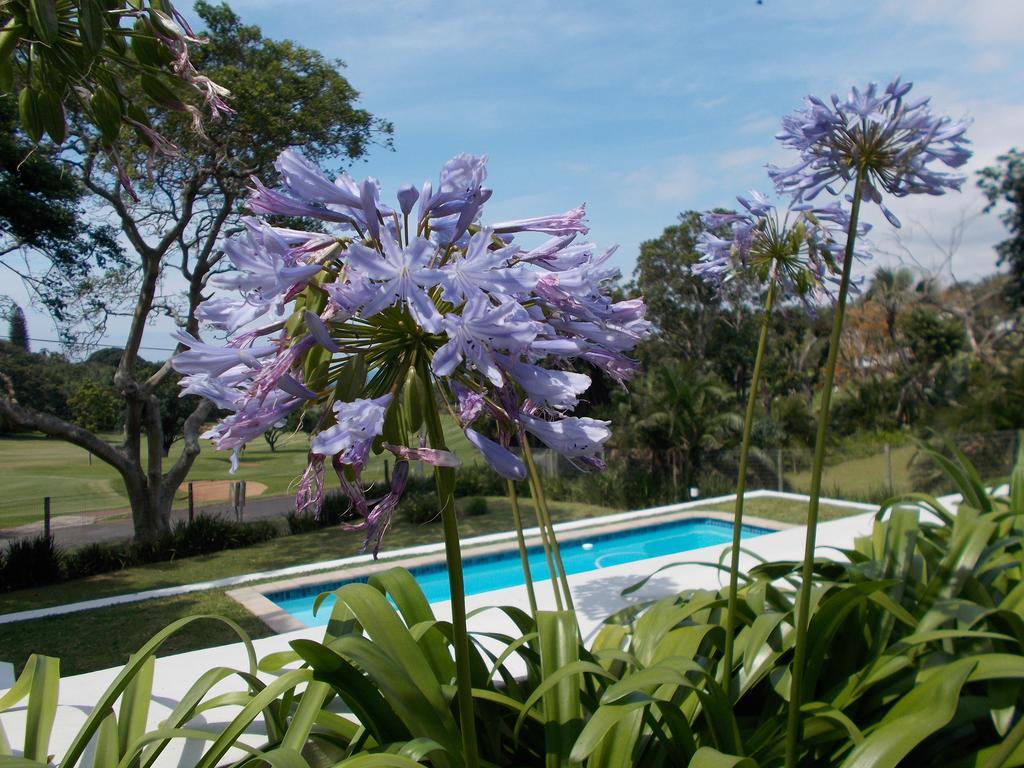 Coral Tree Colony Bed & Breakfast Southbroom Exterior foto